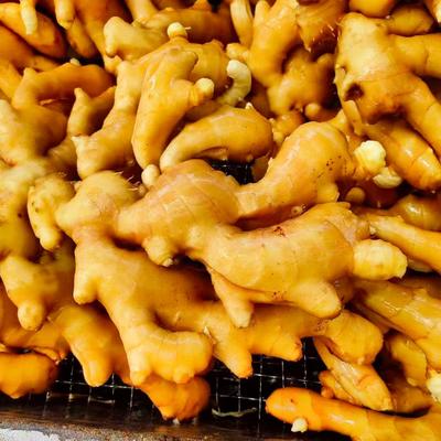 Fresh Ginger 250g+ Per Package